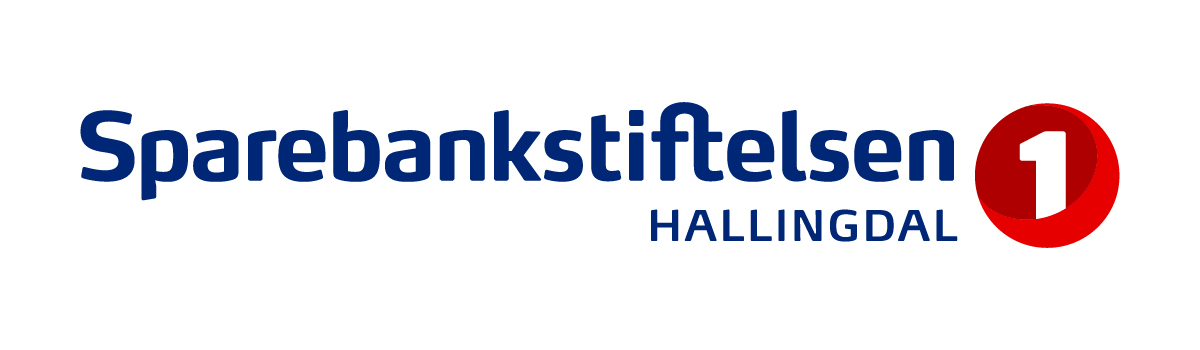 Sparebankstiftelsen Hallingdal