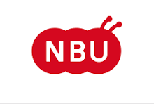 Norske Barne- og Ungdomsbokforfattere (NBU)